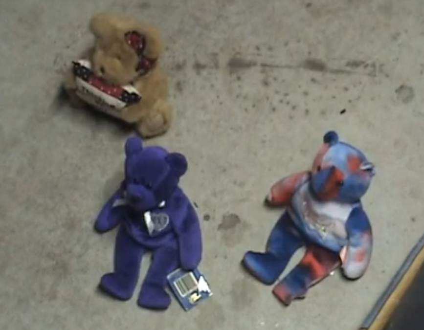bears