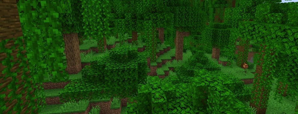 jungle
